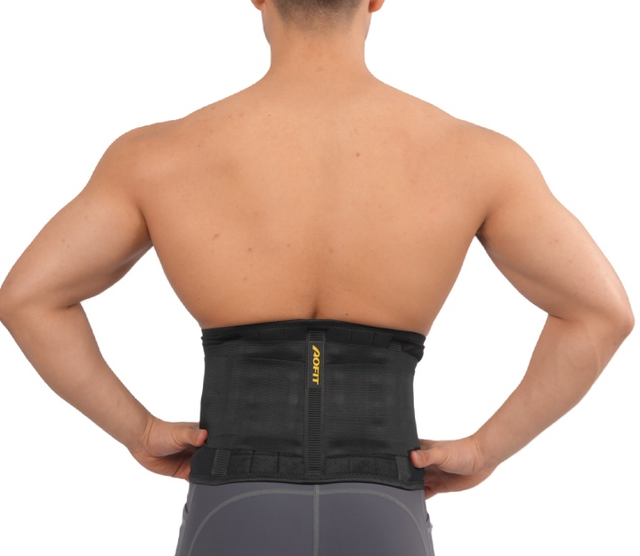 Lumbar Brace and Back Support Belt