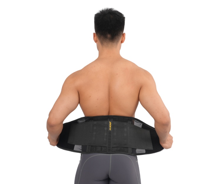 Lumbar Brace and Back Support Belt 