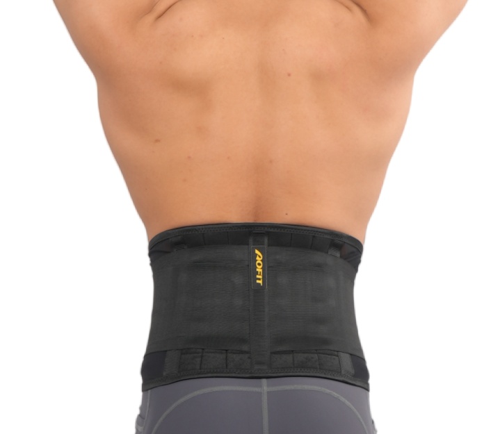 Lumbar Brace and Back Support Belt 